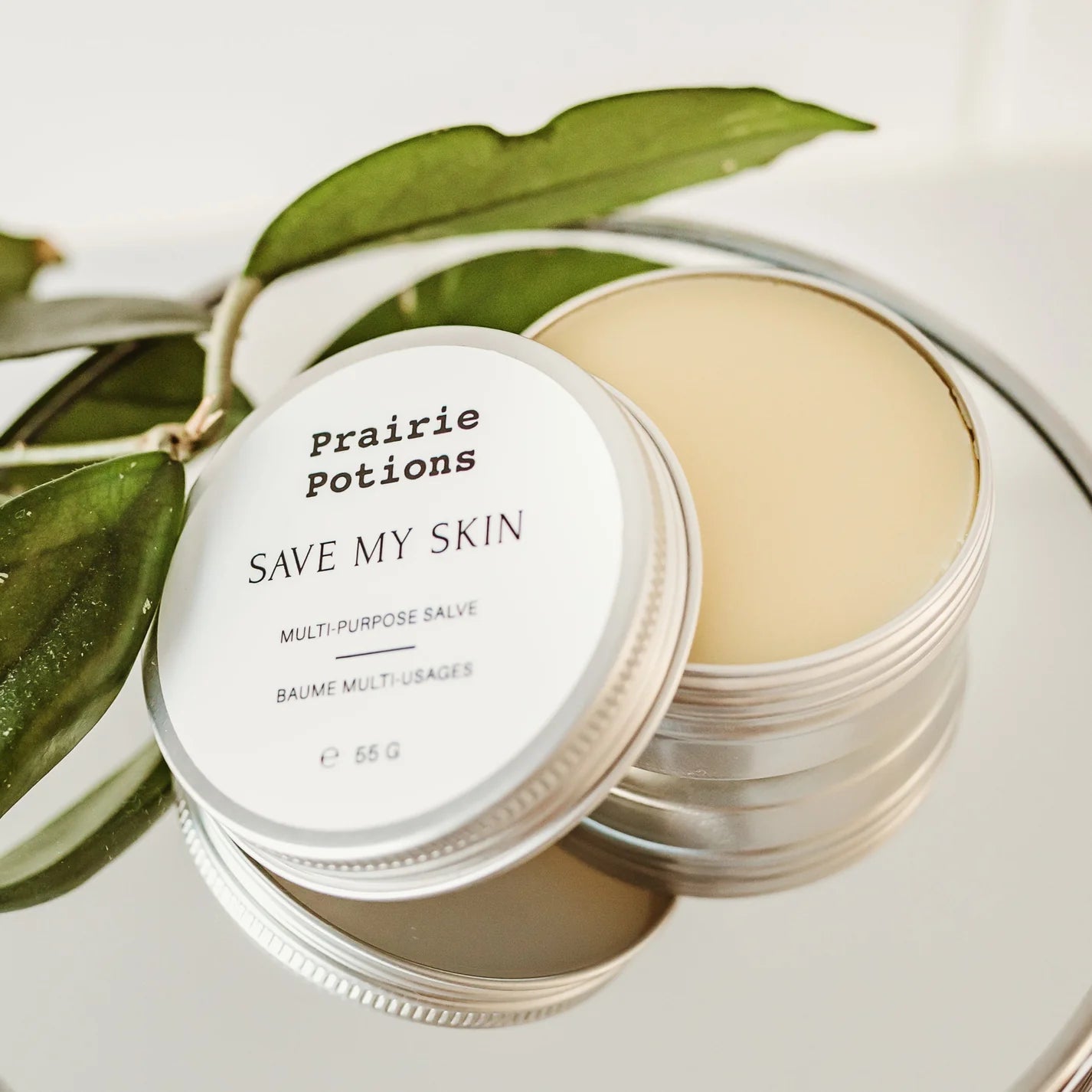 Prairie Potions, Save My Skin ~ Multi-Purpose Salve - Shakti