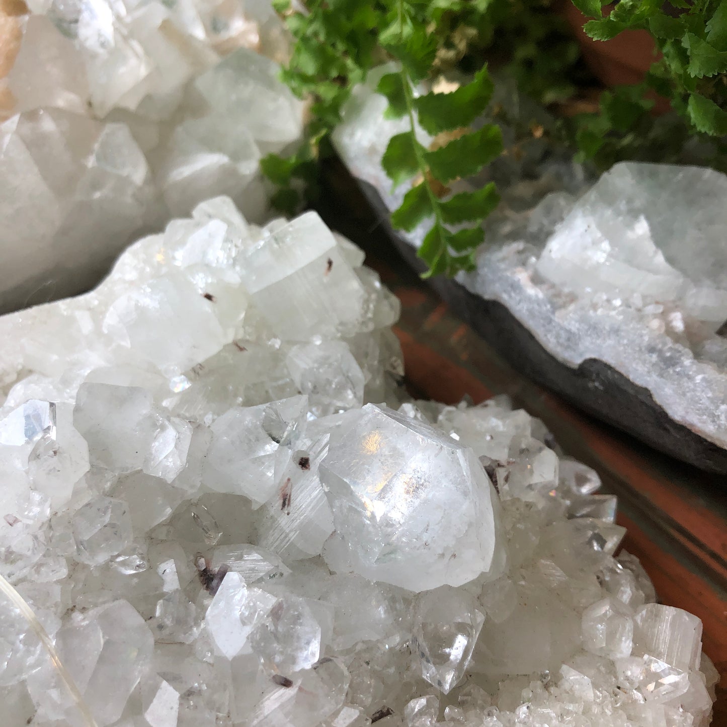 Apophyllite Tips - Shakti