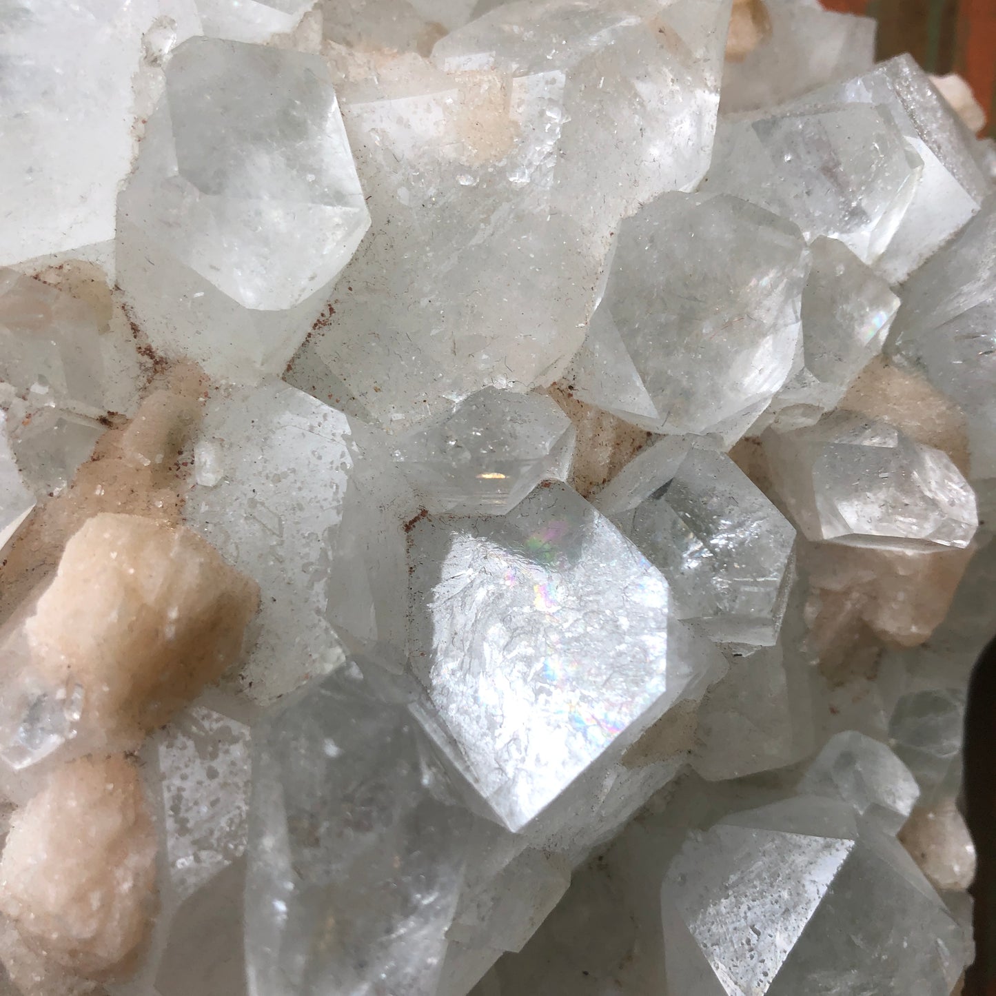 Apophyllite Tips - Shakti