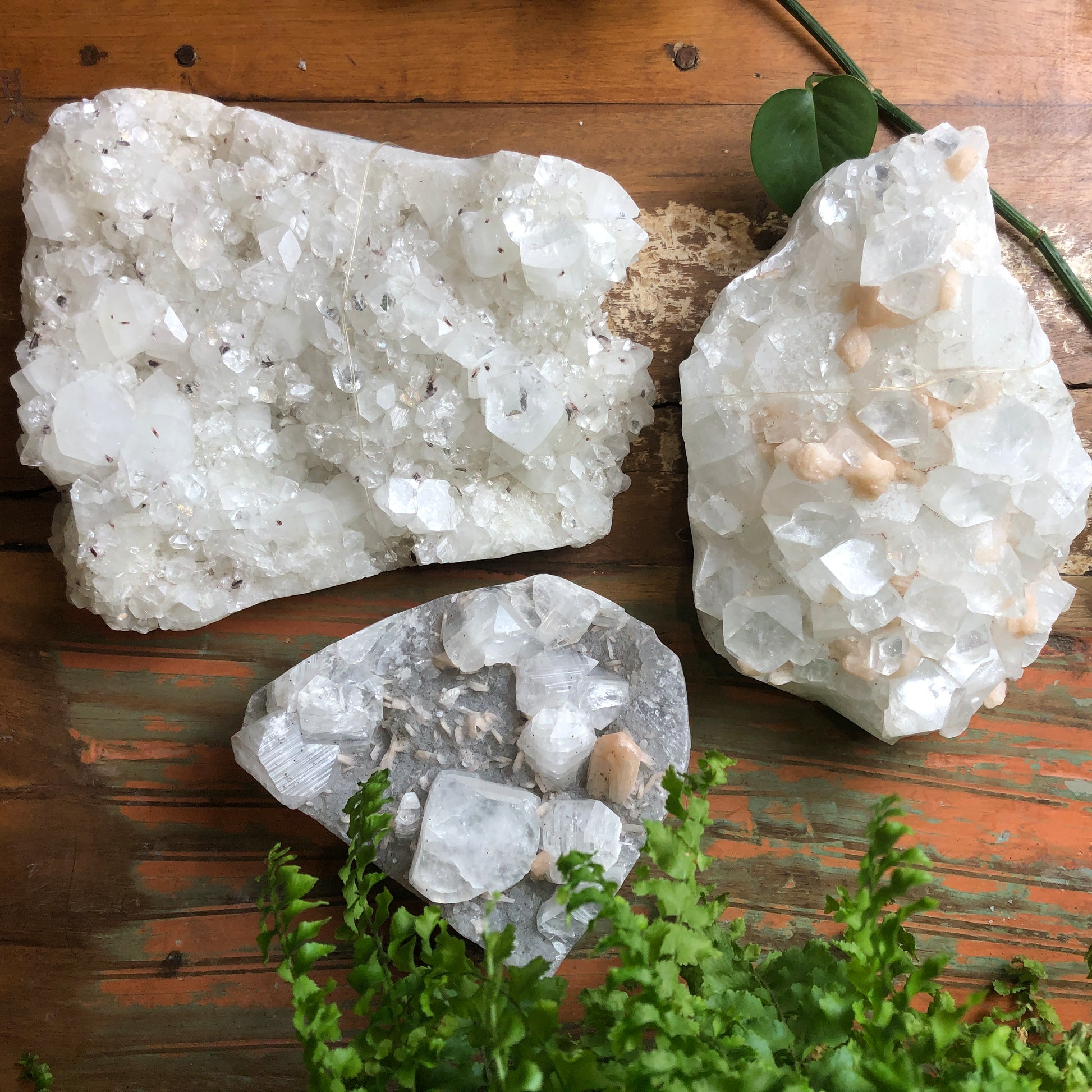 Apophyllite Tips - Shakti