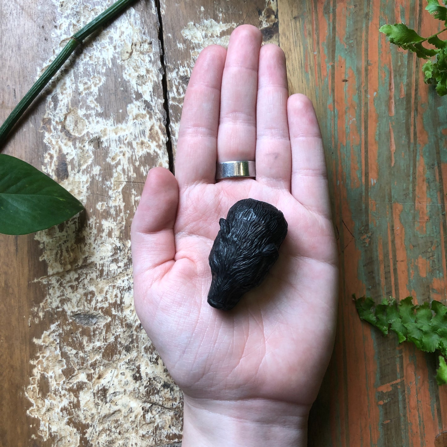 Horn Carvings, Bear Head - Shakti