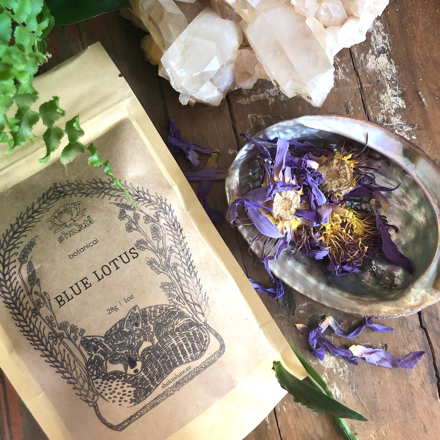 Botanicals - Blue Lotus