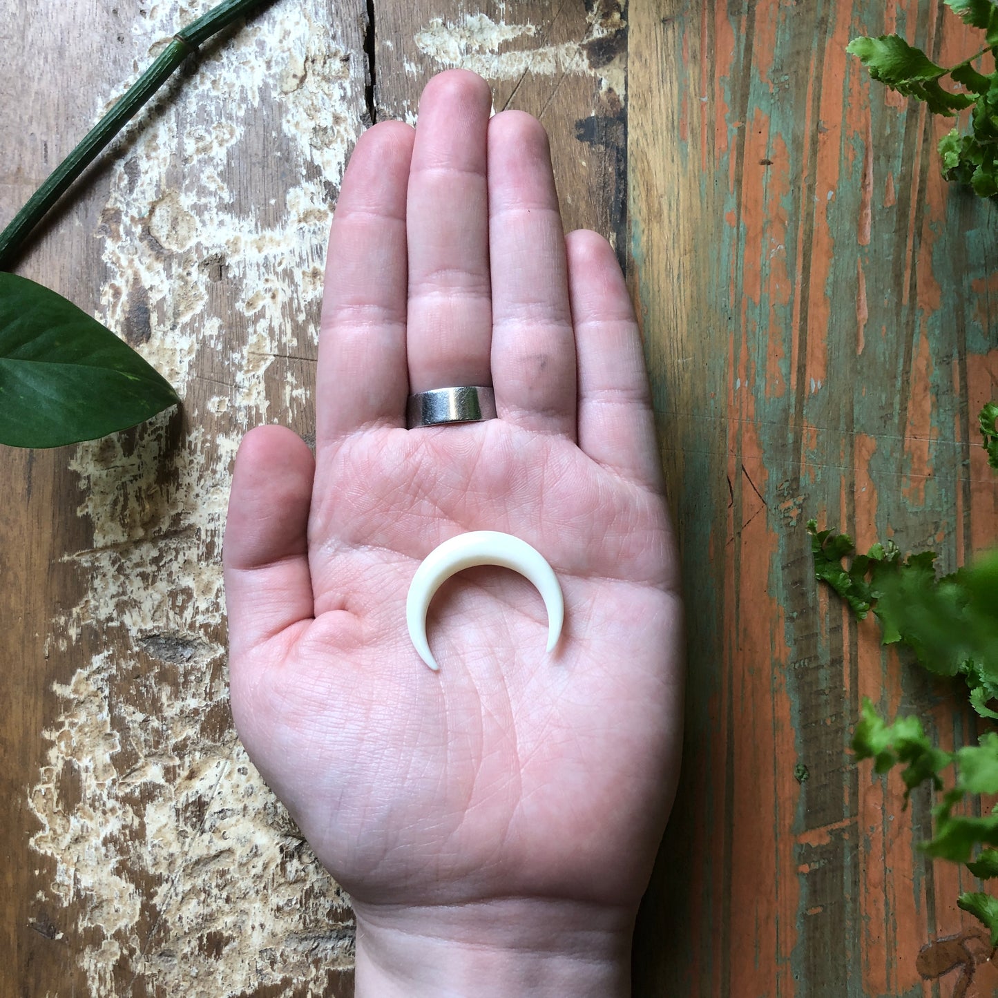 Bone Carvings, Crescent Moon - Shakti