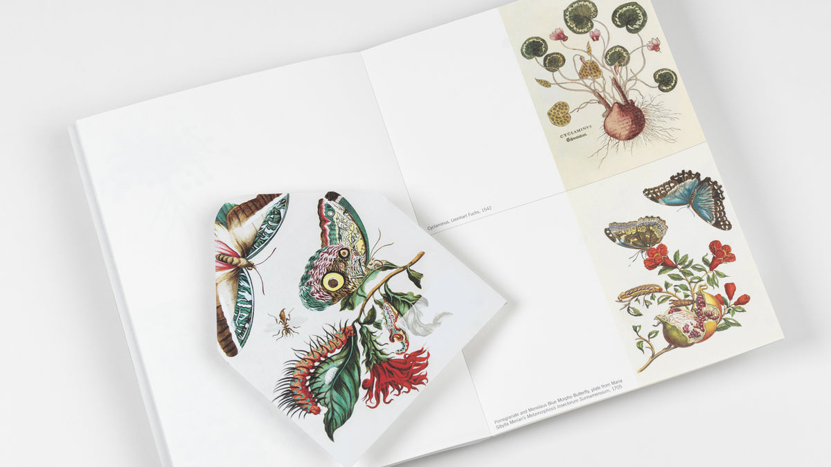 Creative Paper Book
