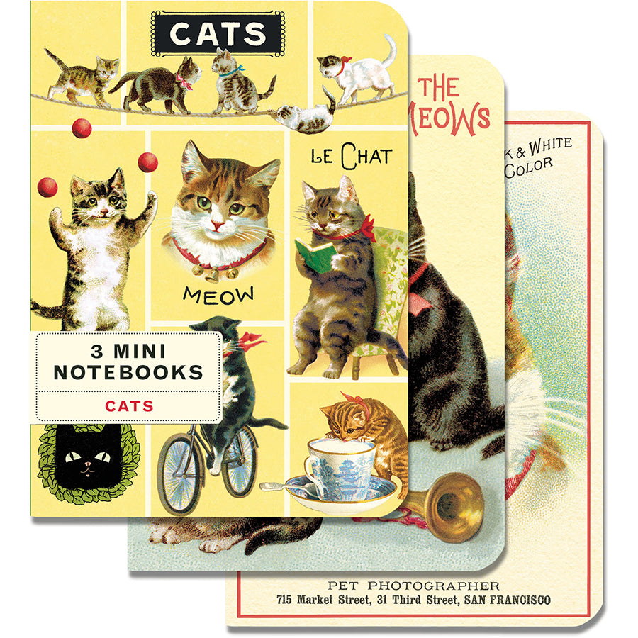 Mini Notebooks (Set of 3)
