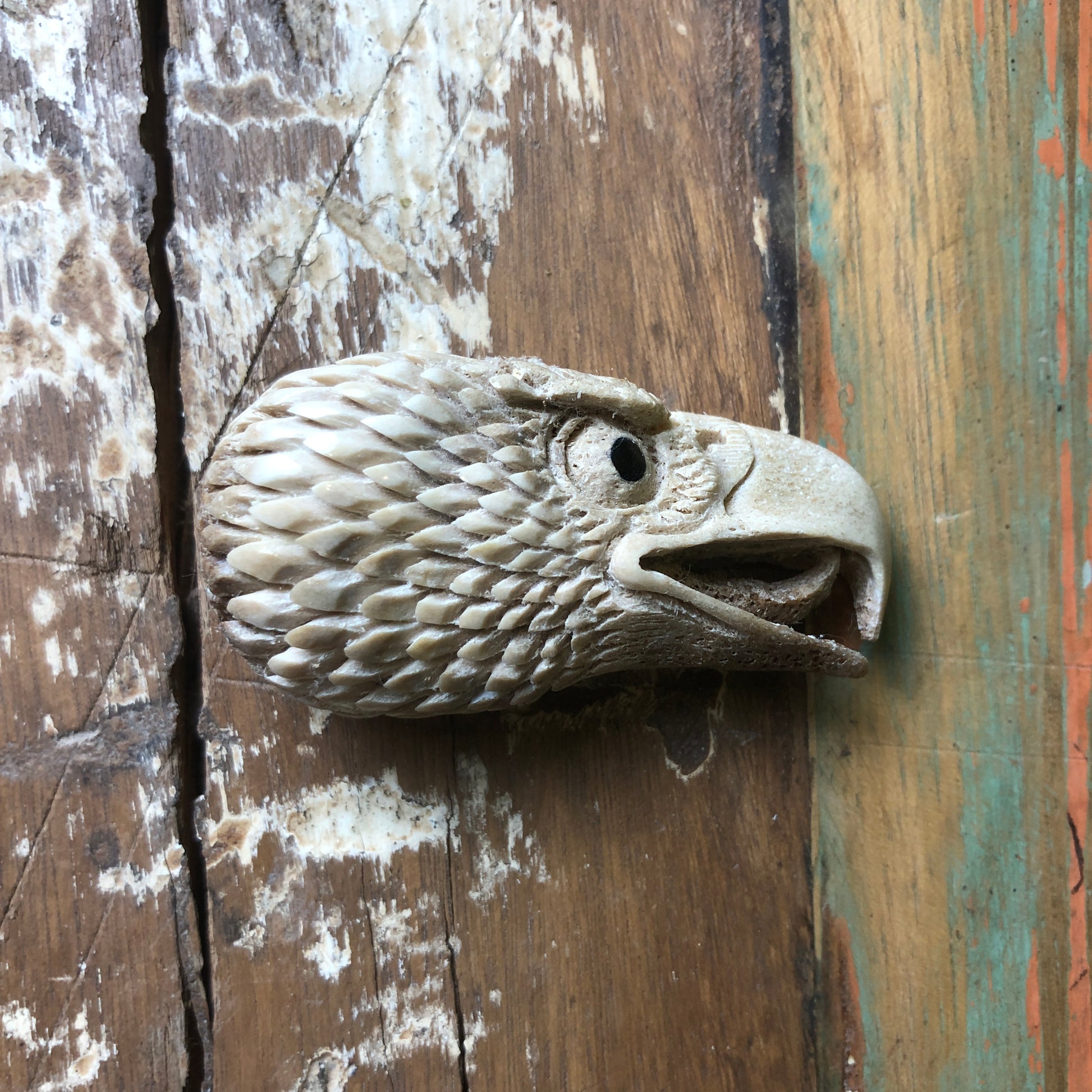 Antler Carvings, Eagle Head - Shakti