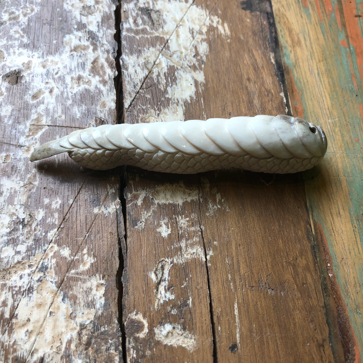 Antler Carvings, Dragon Fingers - Shakti