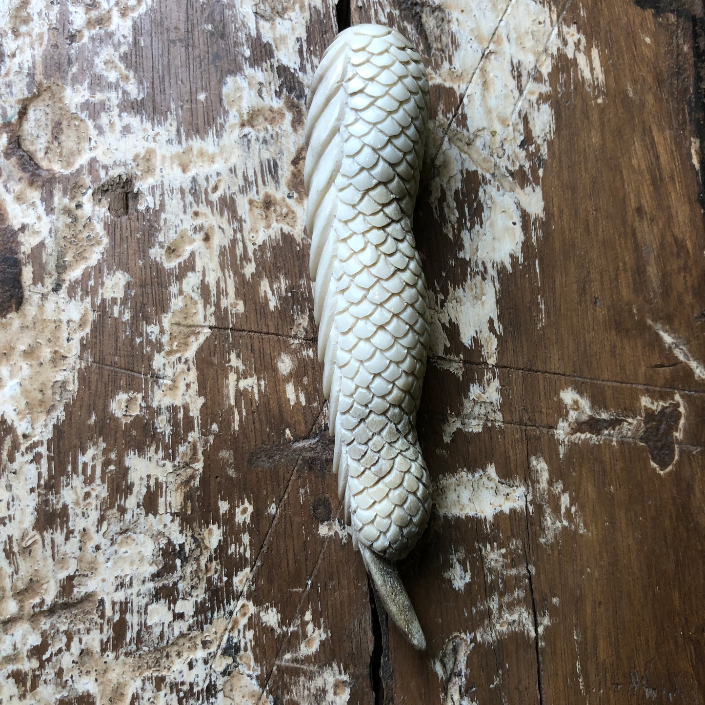 Antler Carvings, Dragon Fingers - Shakti