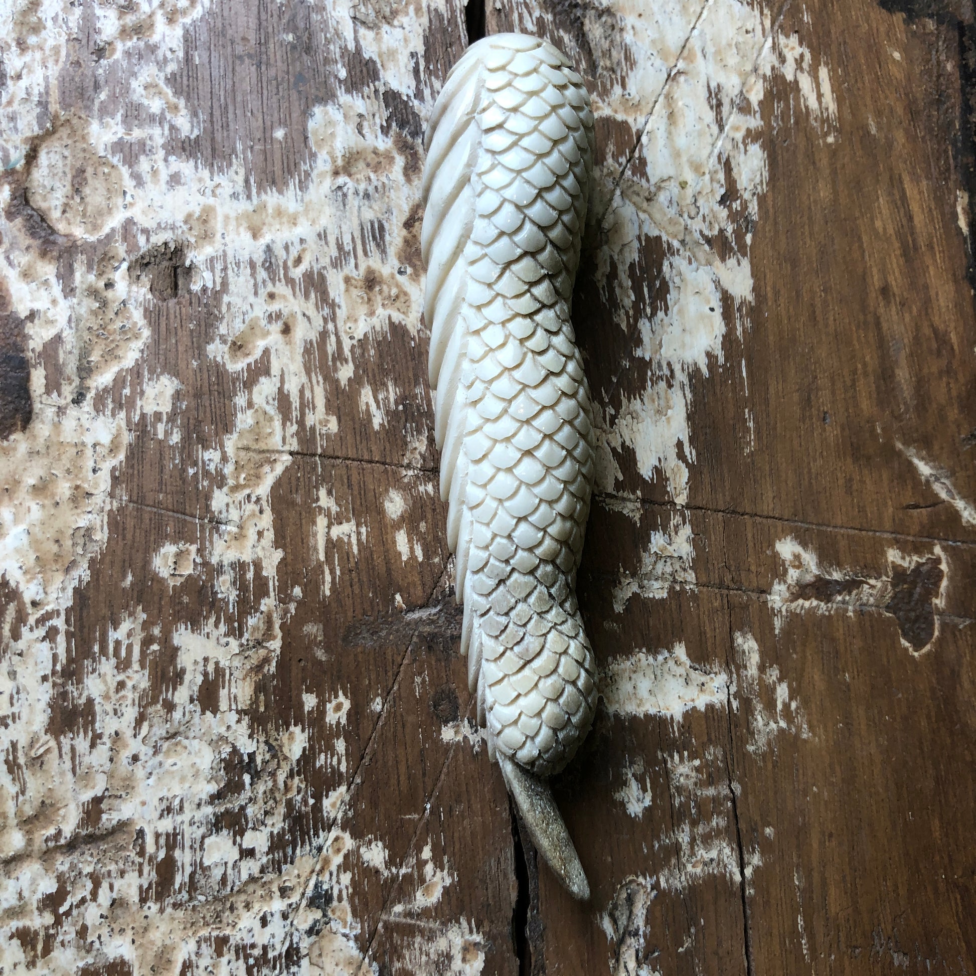 Antler Carvings, Dragon Fingers - Shakti