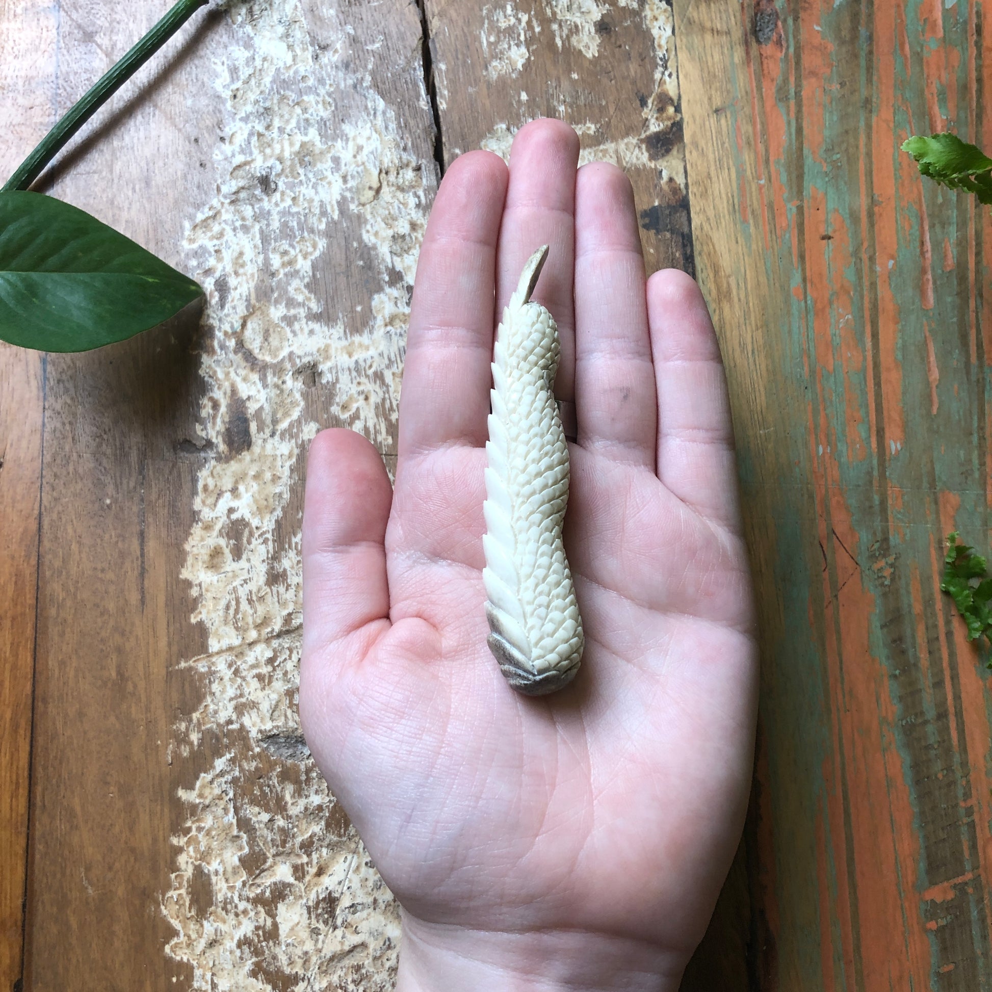 Antler Carvings, Dragon Fingers - Shakti