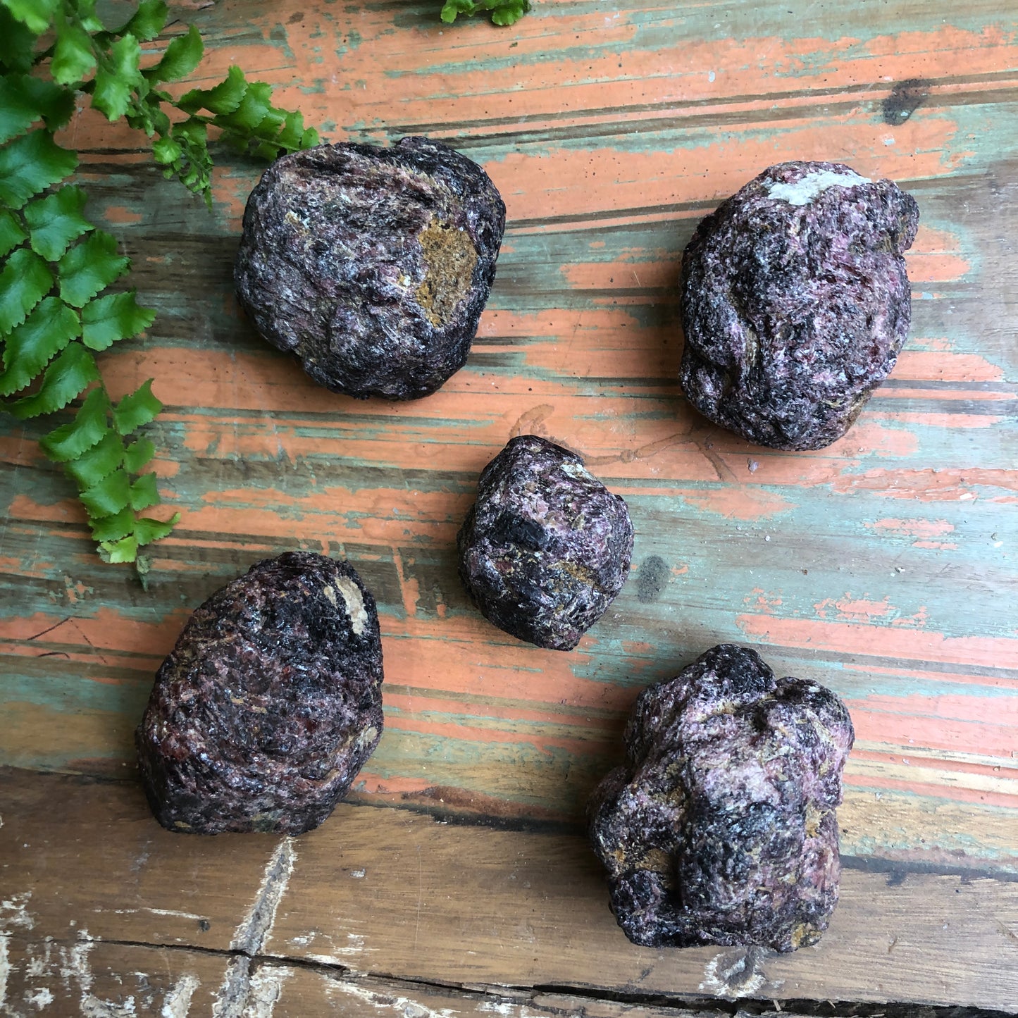 Garnet, Raw Chunks - Shakti