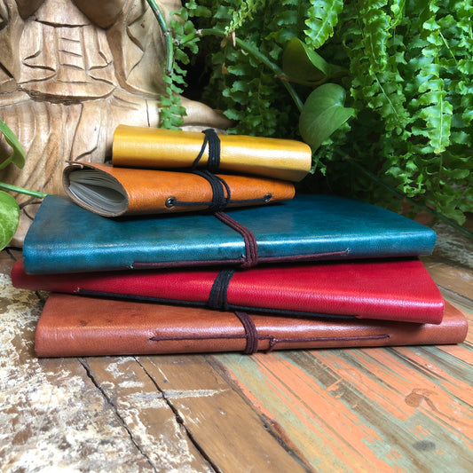 Travellers Notebook - Shakti