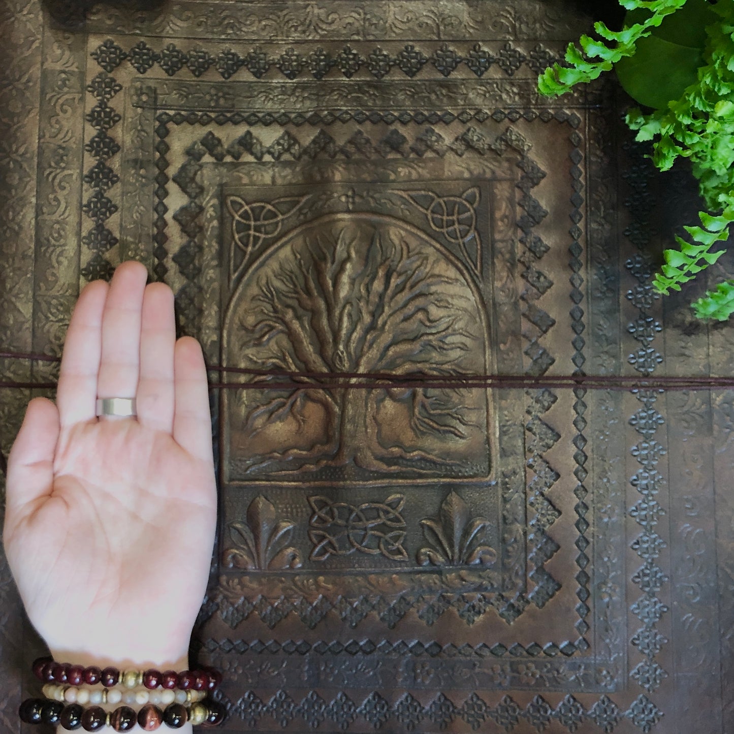 Photo Album - Shakti