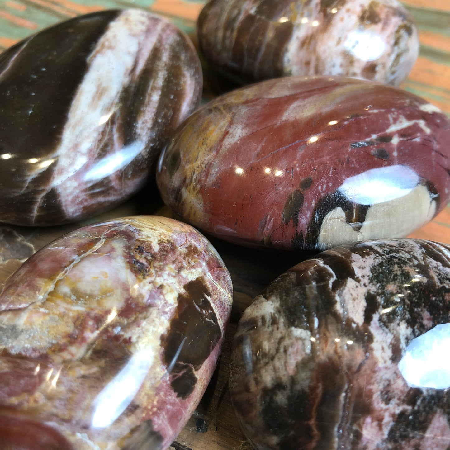 Petrified Wood Palm Stones - Shakti