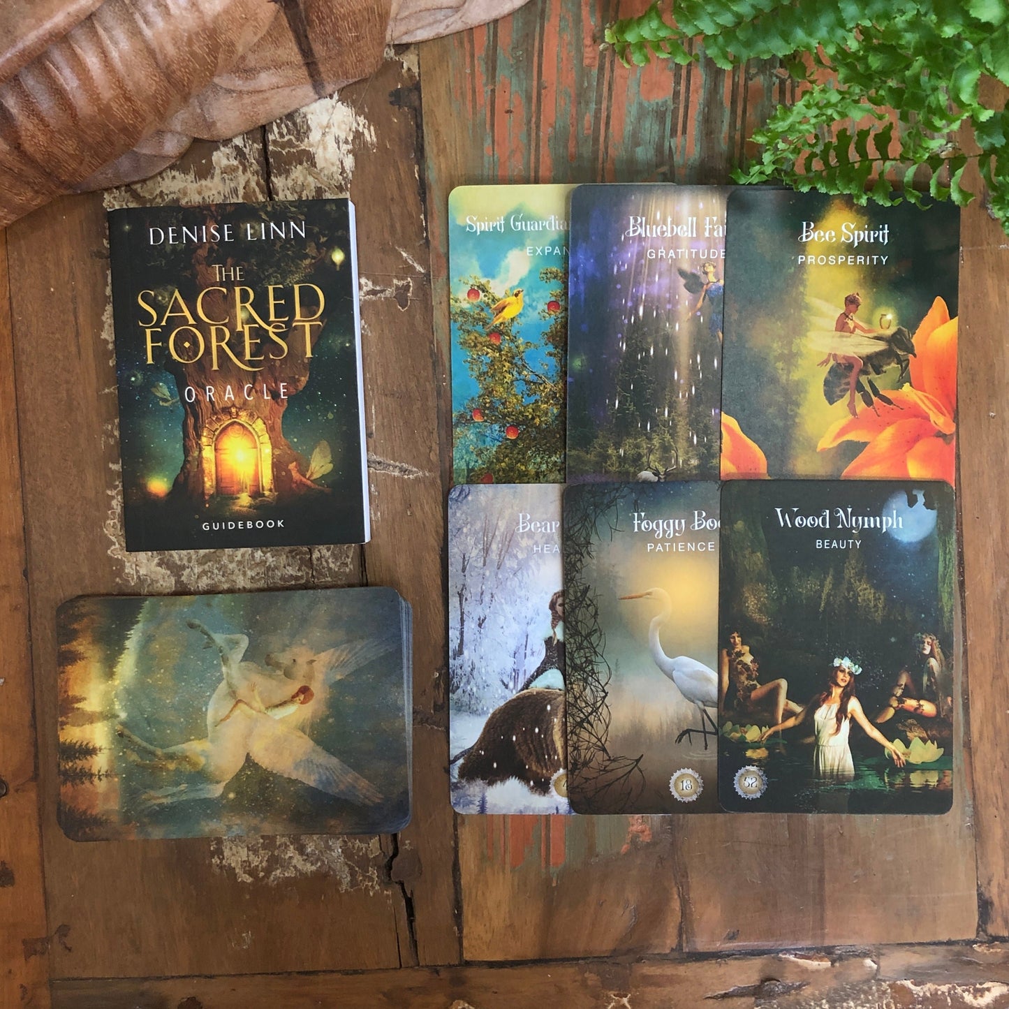 The Sacred Forest Oracle - Shakti