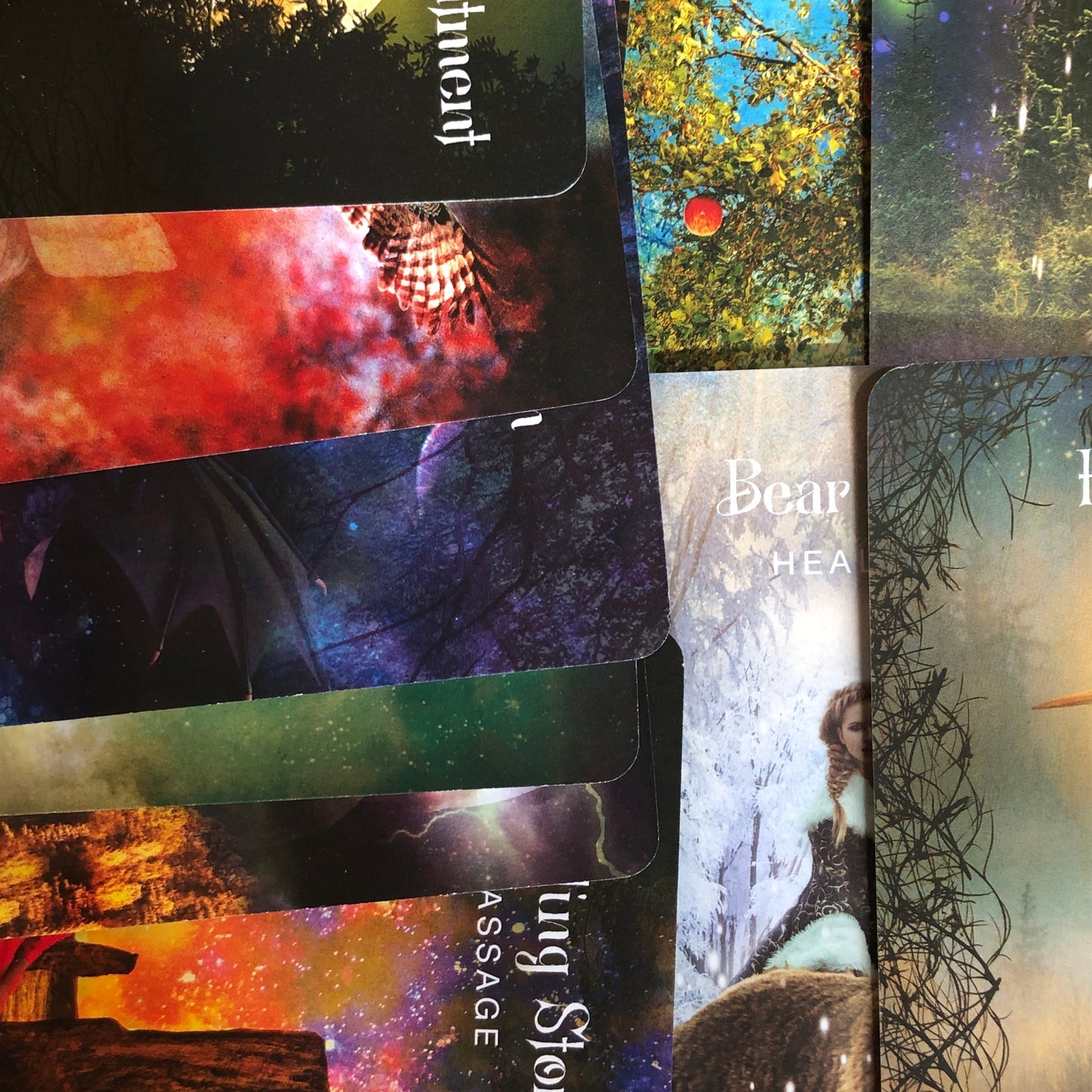 The Sacred Forest Oracle - Shakti