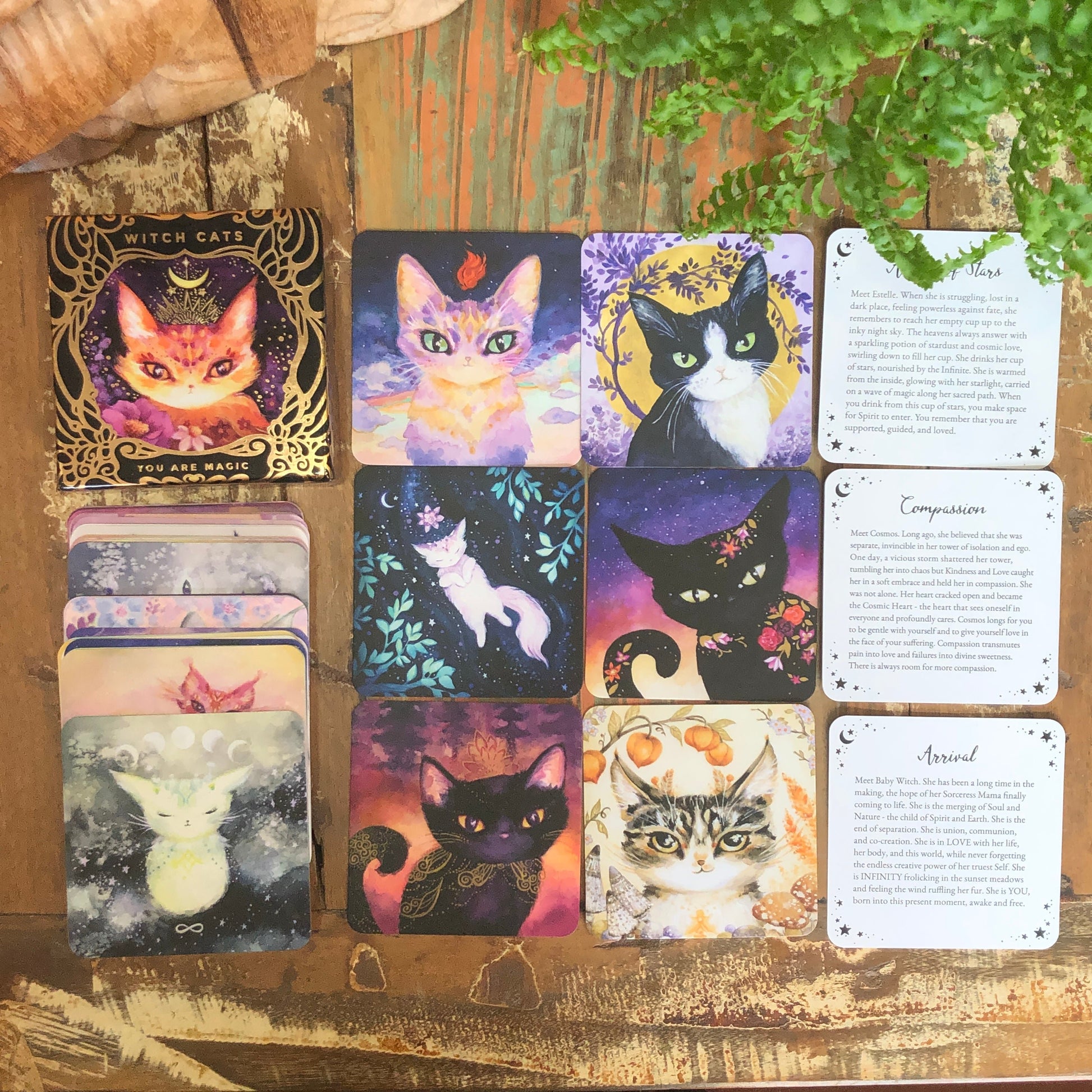 Witch Cats Oracle Deck - Shakti