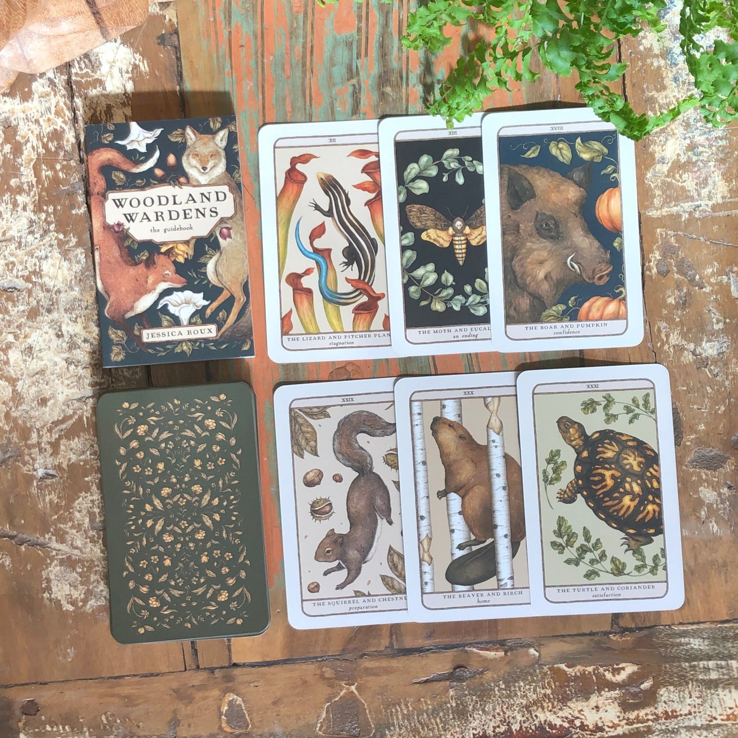 Woodland Wardens Oracle - Shakti