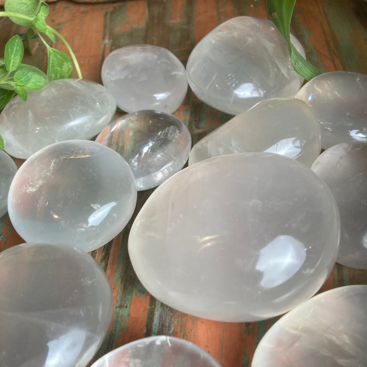 Girasol Palm Stones - Shakti