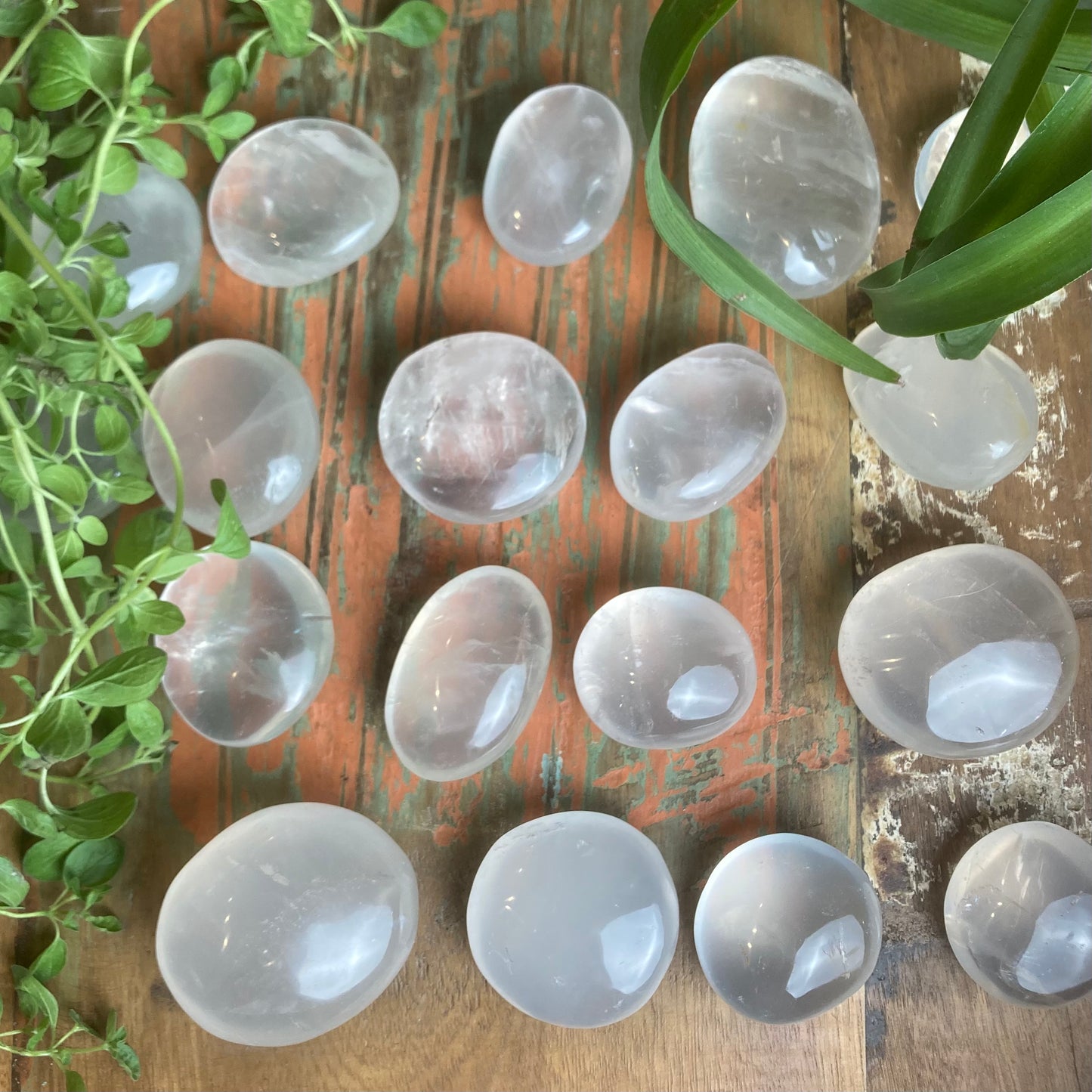Girasol Palm Stones - Shakti
