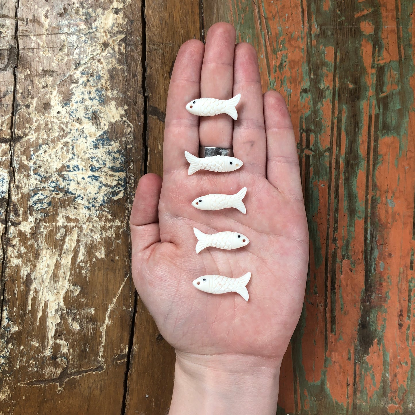 Bone Carvings, Fish ver.2