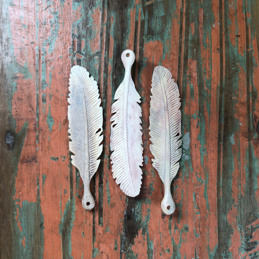 Antler Carvings, Feather