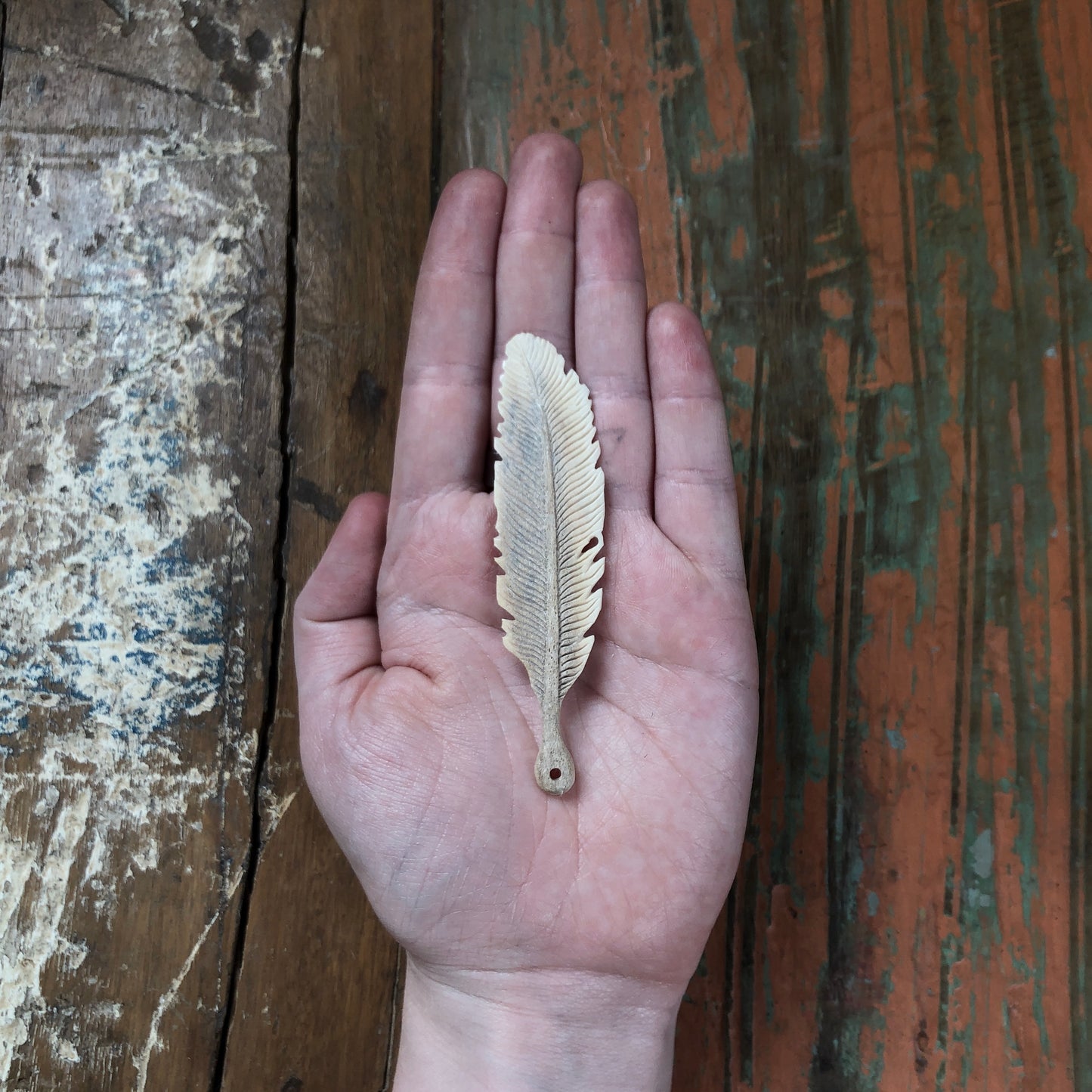 Antler Carvings, Feather
