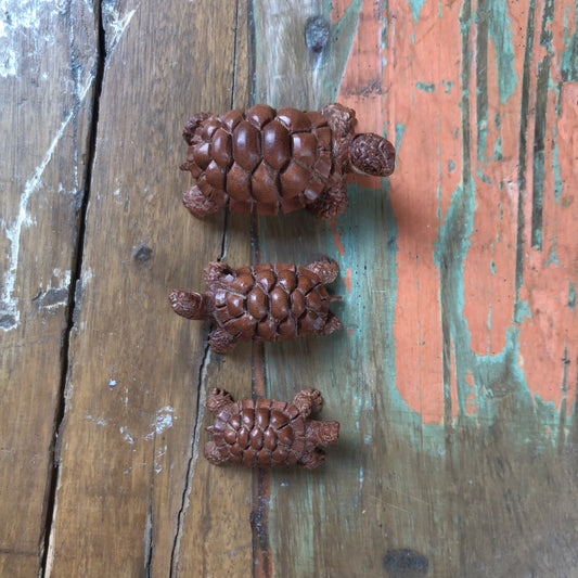 Wood Carvings, Tortoise