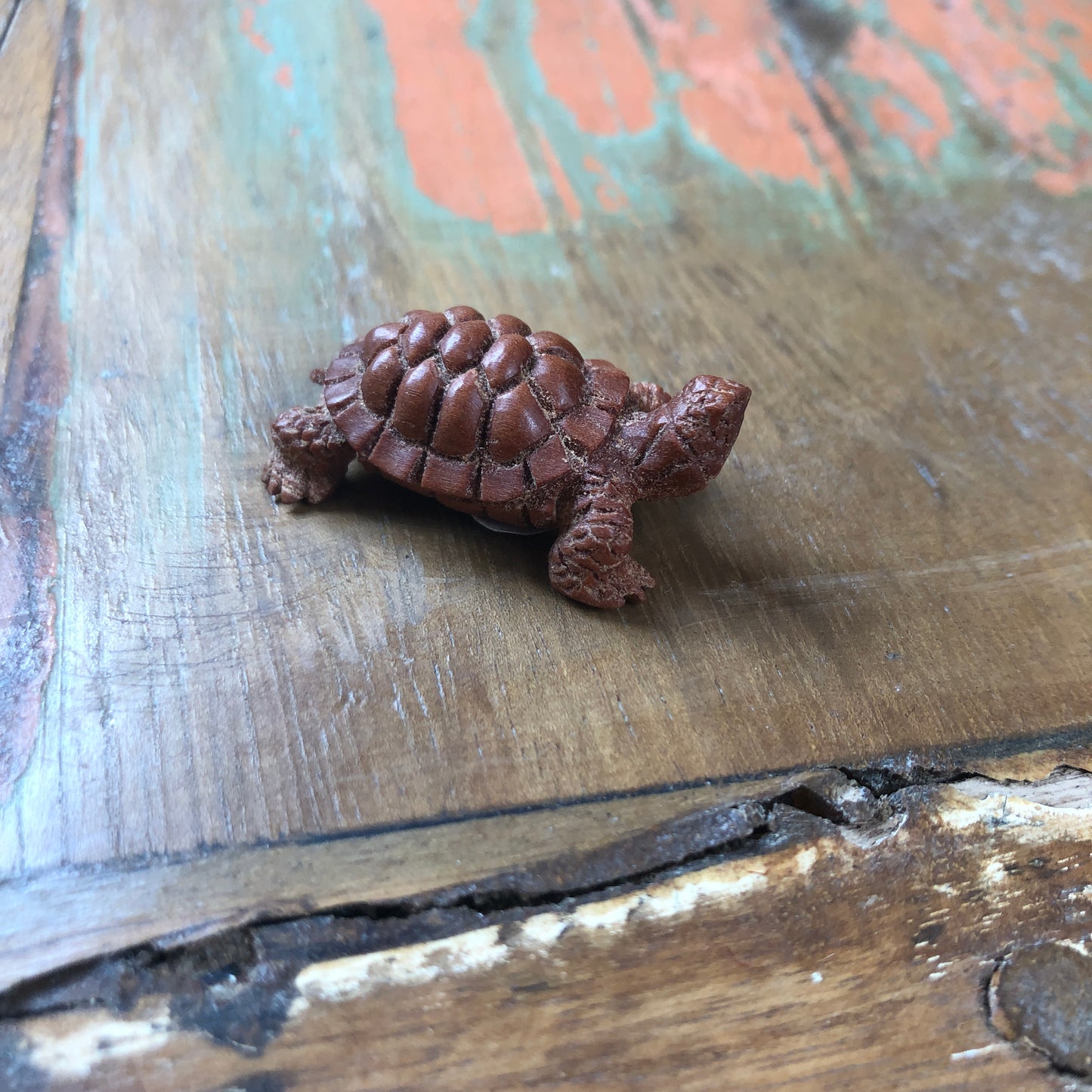 Wood Carvings, Tortoise