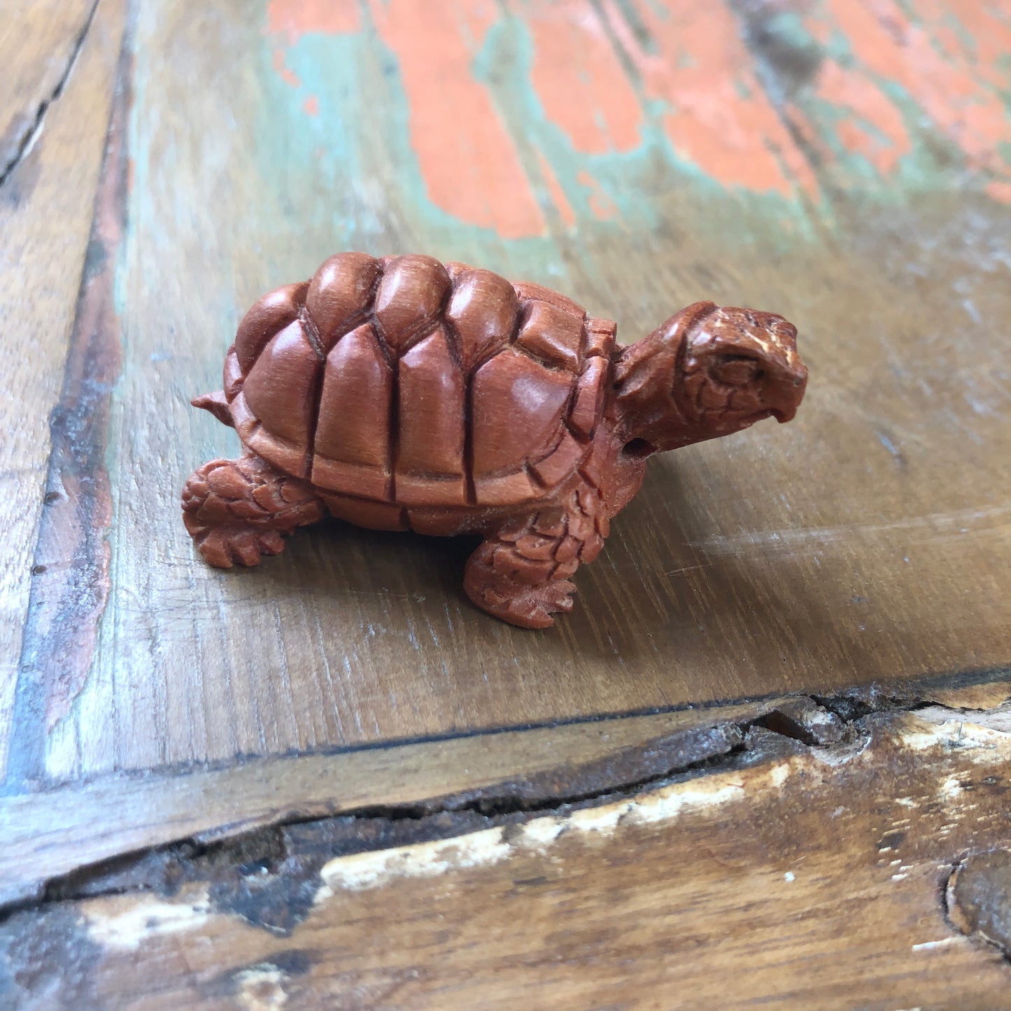 Wood Carvings, Tortoise