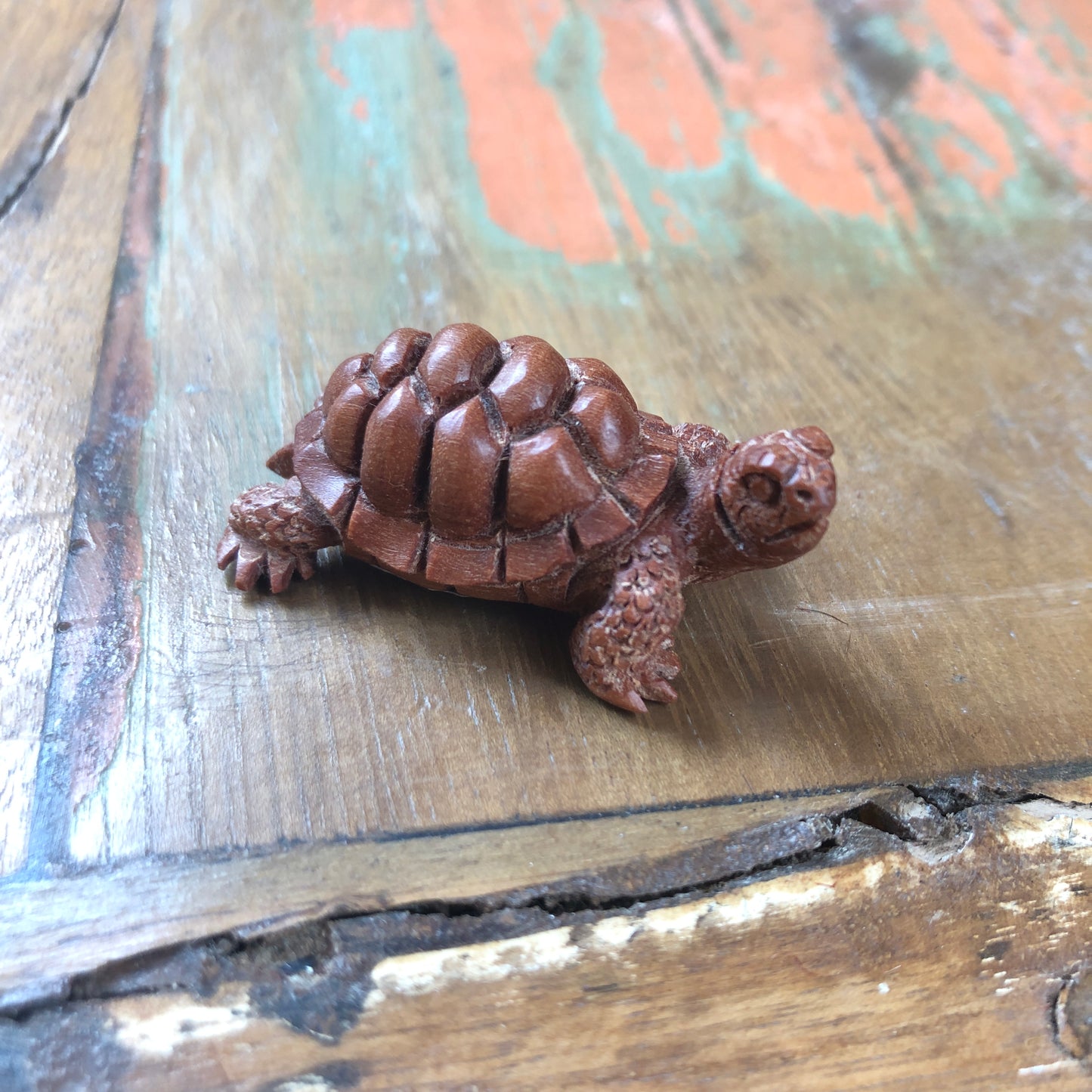Wood Carvings, Tortoise