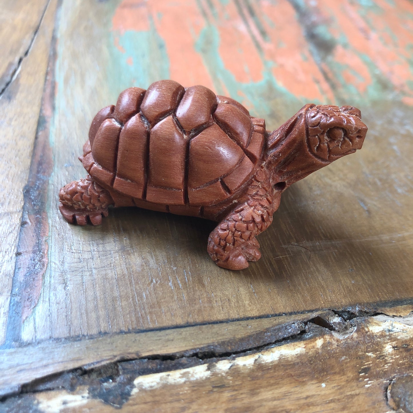 Wood Carvings, Tortoise
