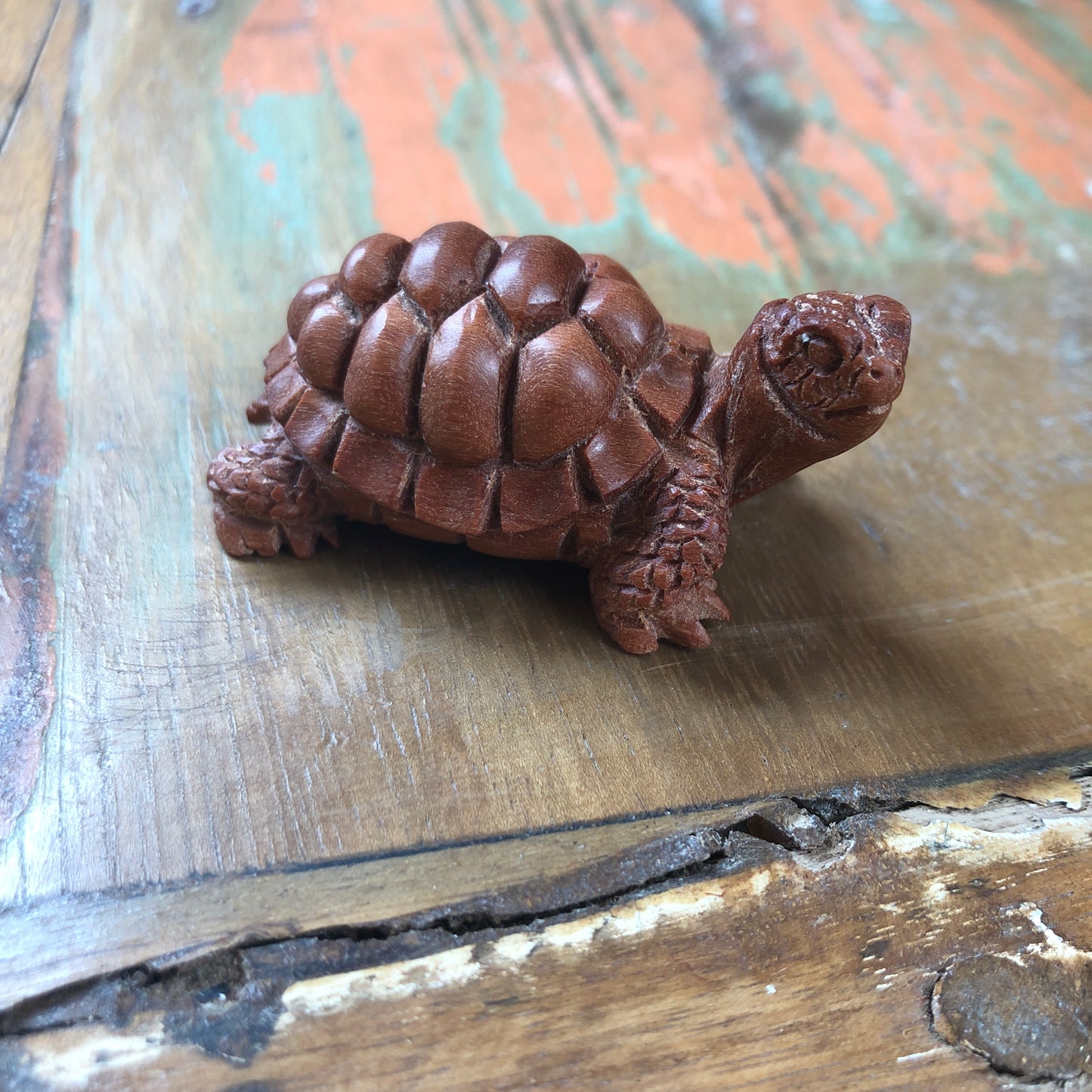 Wood Carvings, Tortoise