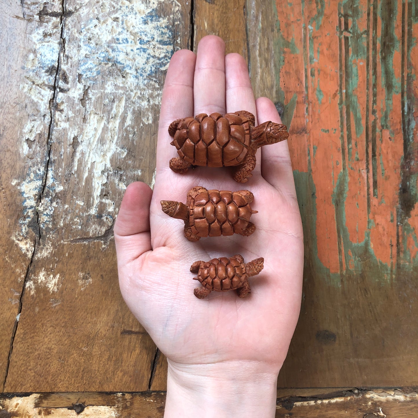 Wood Carvings, Tortoise