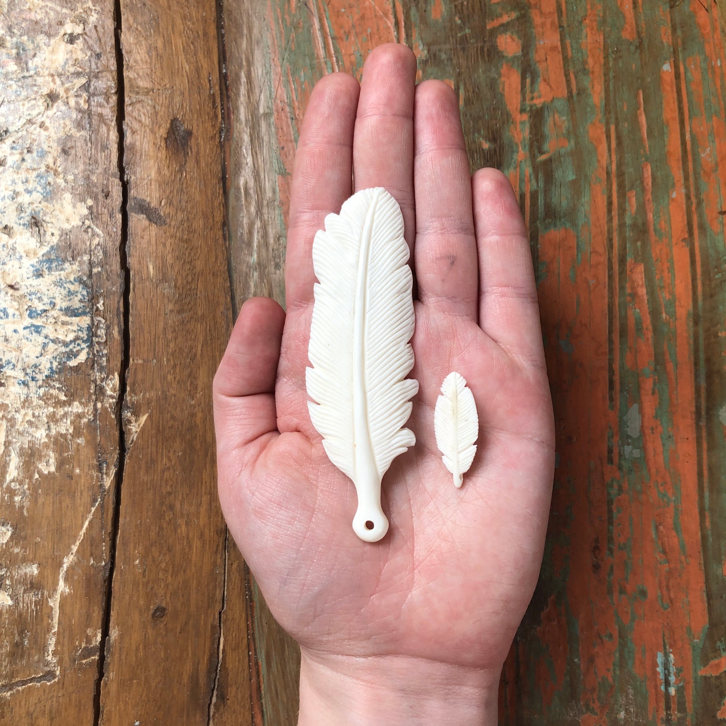 Bone Carvings, Feathers