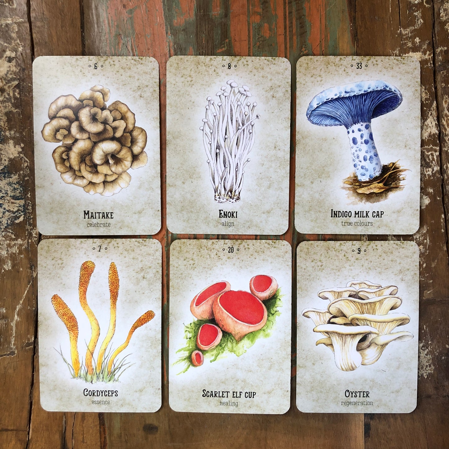 Mushroom Spirit Oracle by Nicola McIntosh