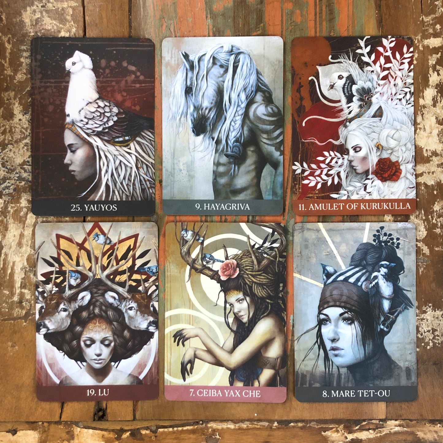 Medicine Heart Oracle by Alana Fairchild