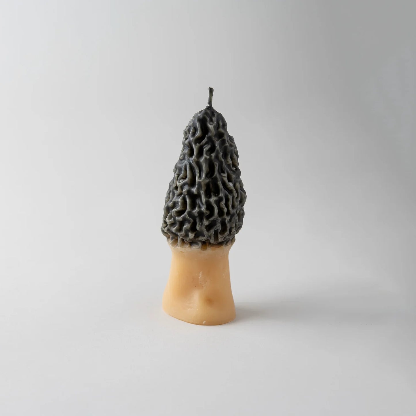 Barletta Beeswax Candle - Morel Mushroom