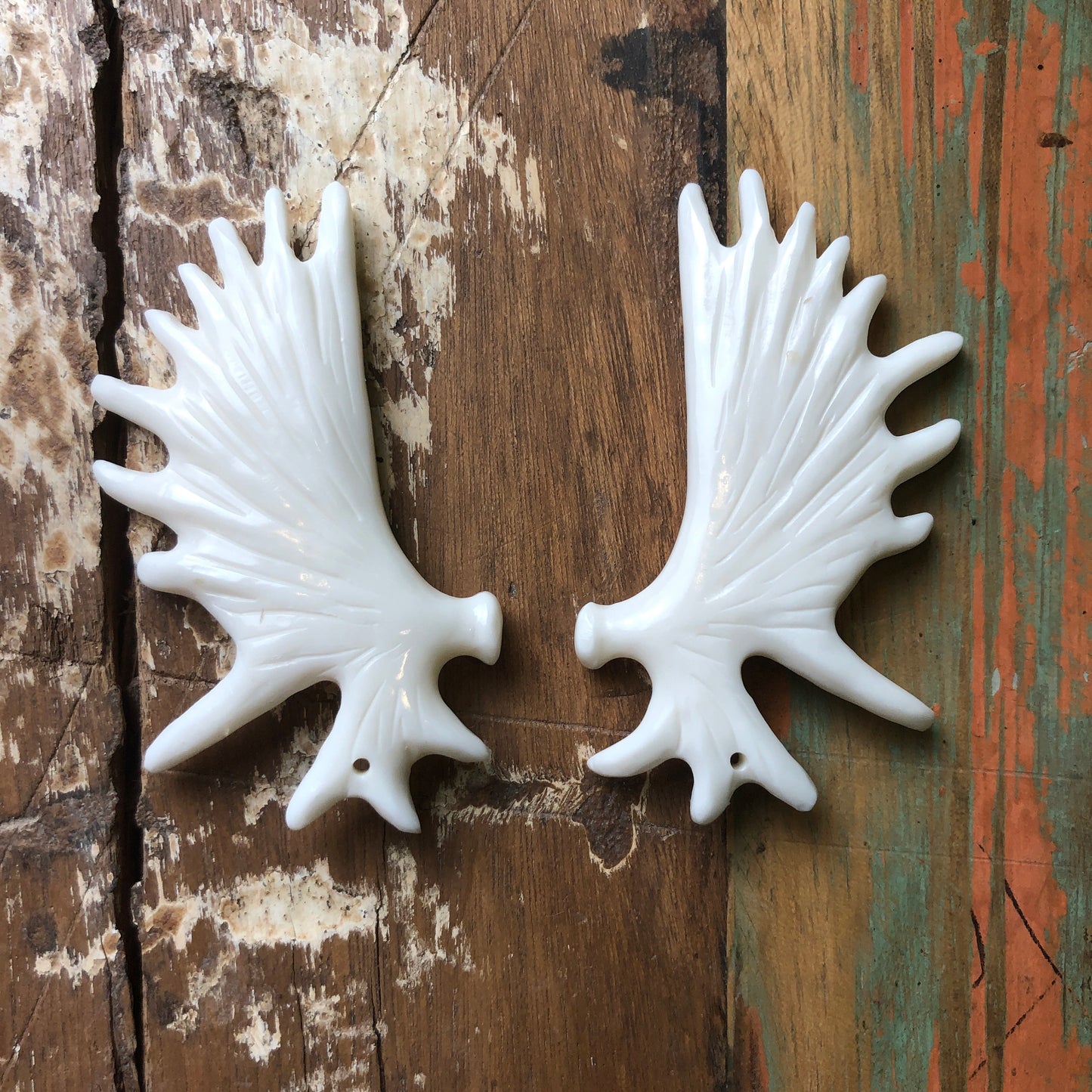 Bone Carvings, Antlers - Shakti