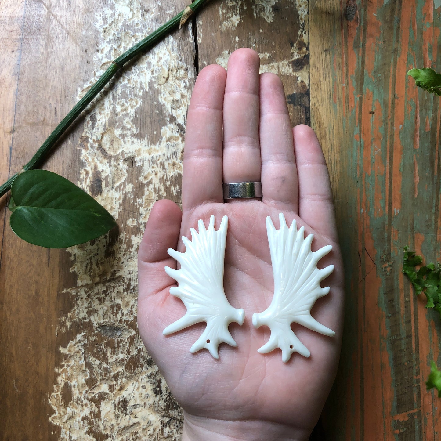 Bone Carvings, Antlers - Shakti