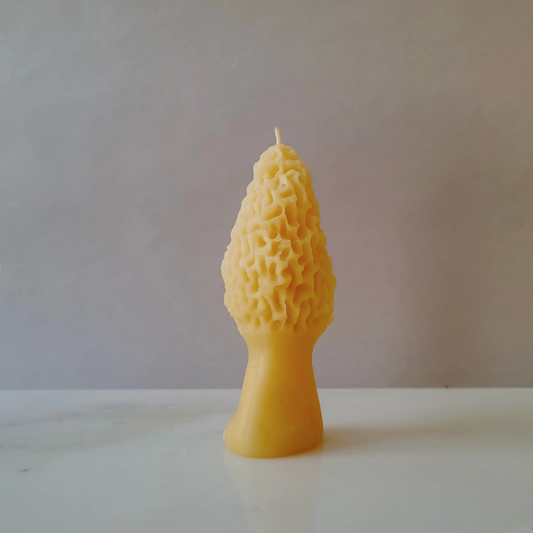 Barletta Beeswax Candle - Morel Mushroom