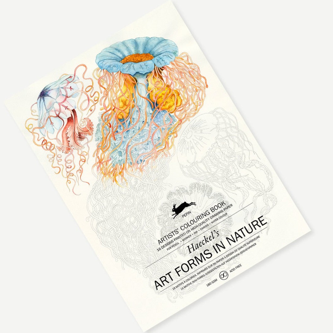 Artists' Colouring Book - Shakti