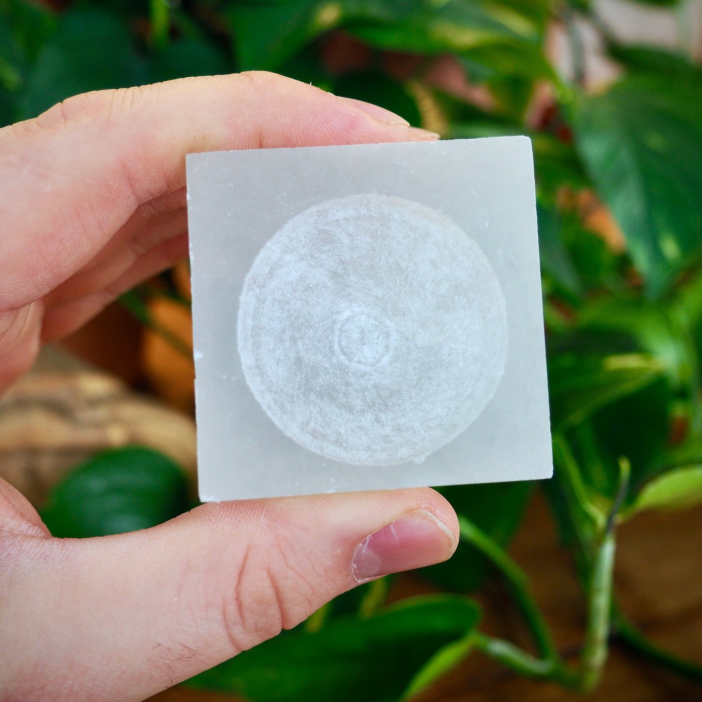 Selenite Sphere Stands - Shakti