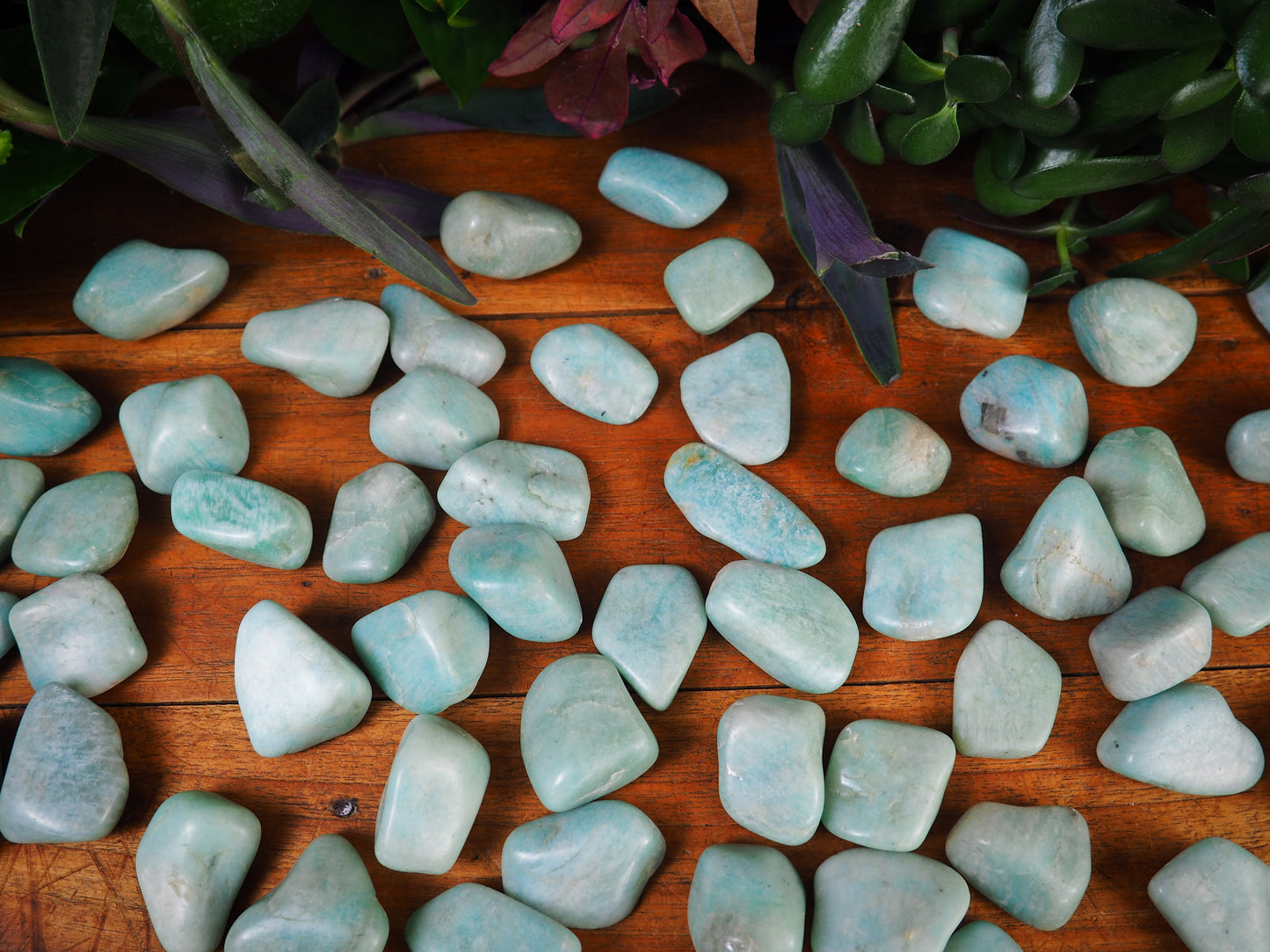 Amazonite Tumble Stones - Shakti