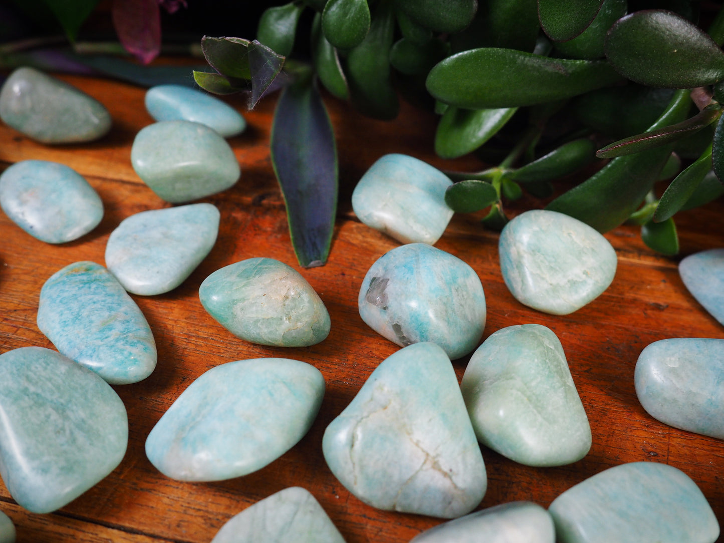 Amazonite Tumble Stones - Shakti