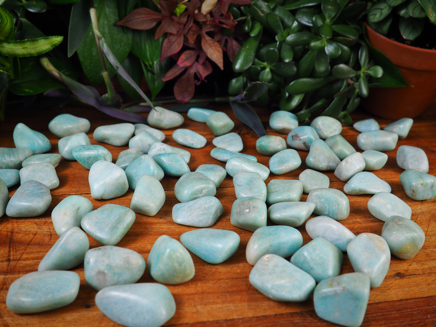 Amazonite Tumble Stones - Shakti