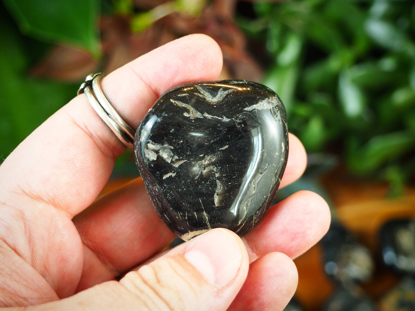 Black Onyx Tumble Stones - Shakti
