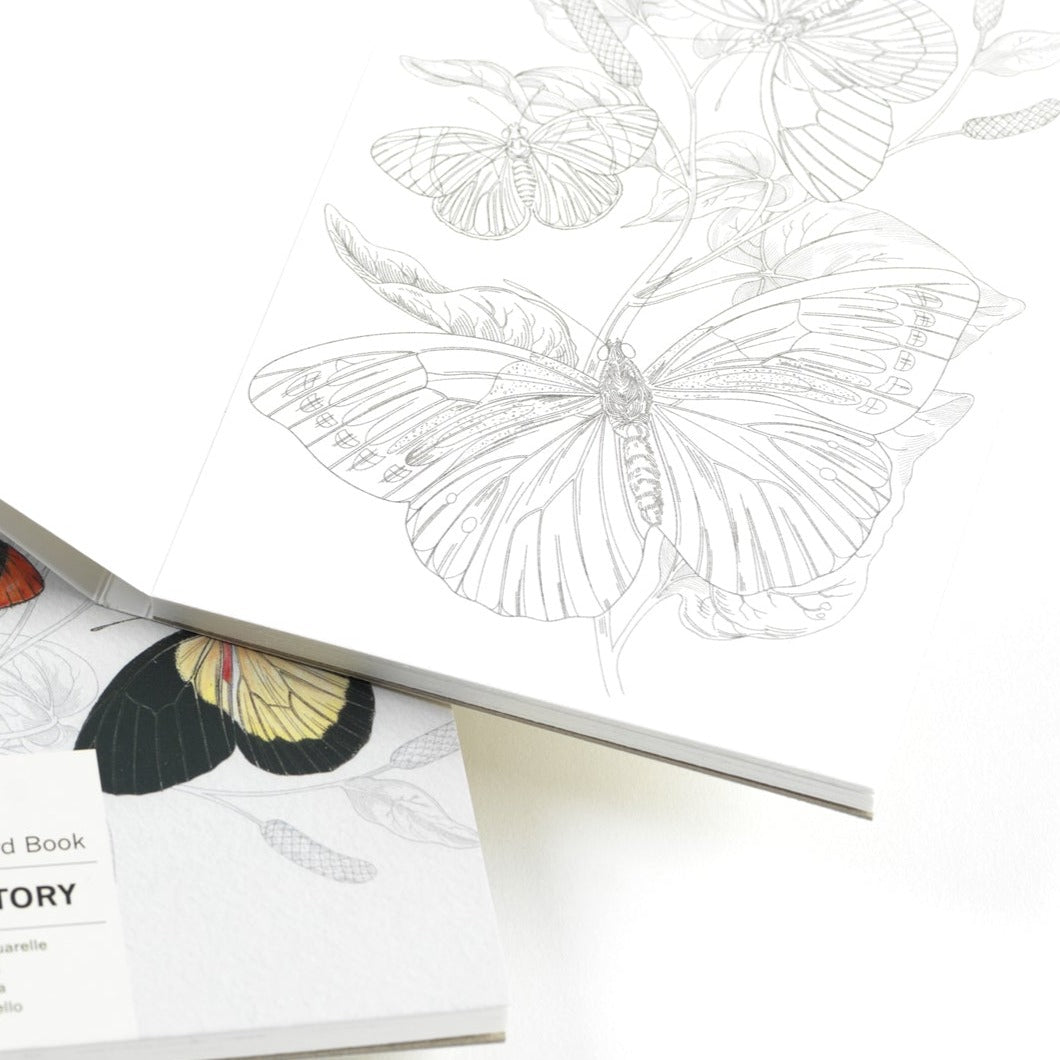 Watercolour Postcard Book - Shakti