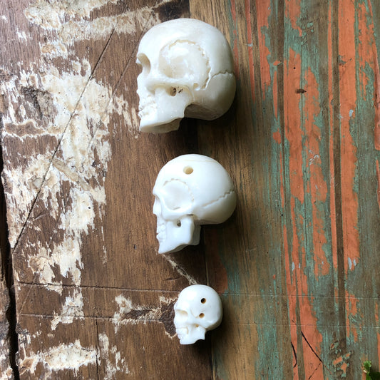 Bone Carvings, Skull - Shakti