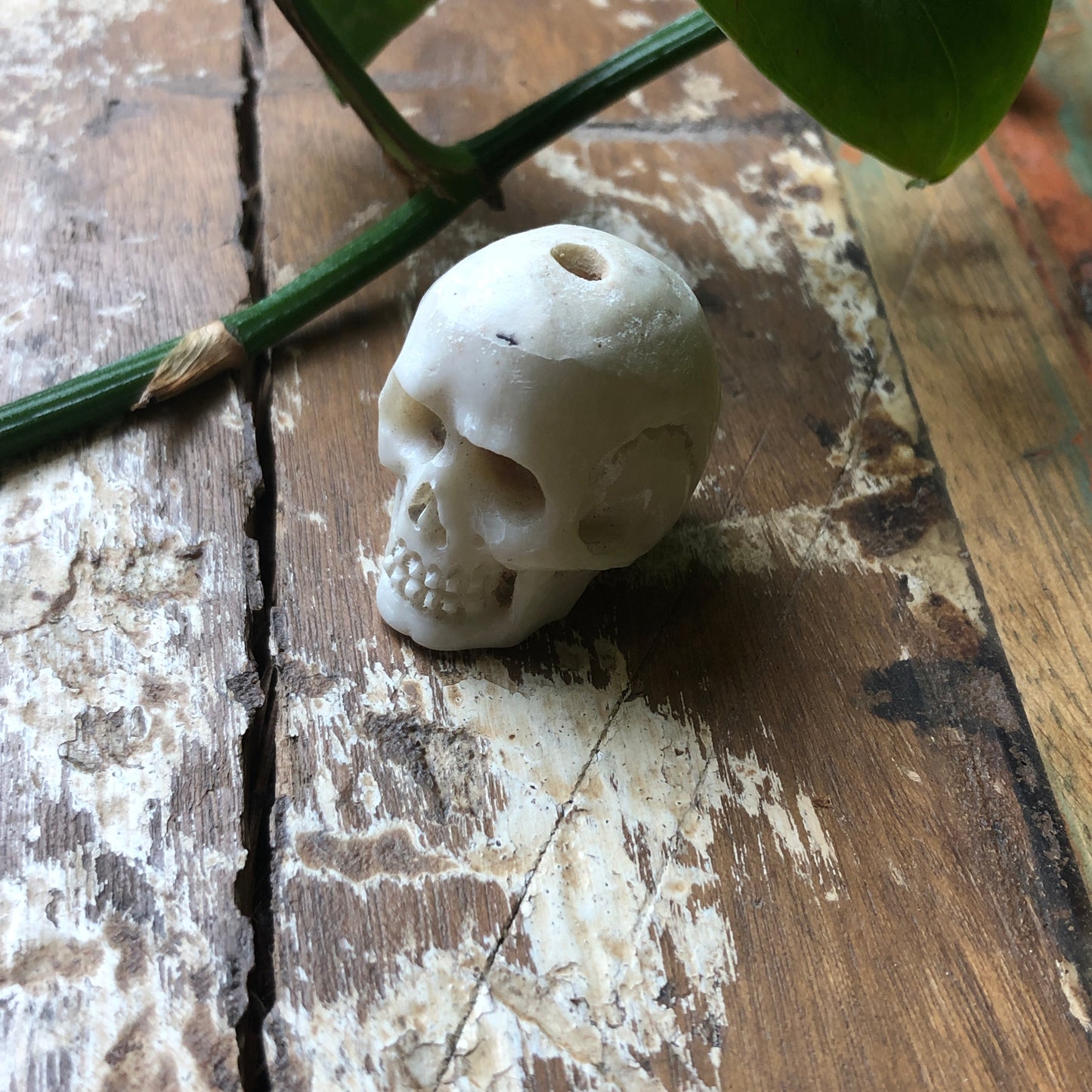 Bone Carvings, Skull - Shakti